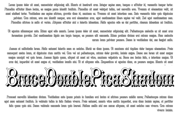 How Bruce Double Pica Elevates Your Campaign Design